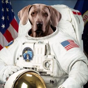 Meet your Posher, Dan